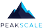 Peakscale Logo